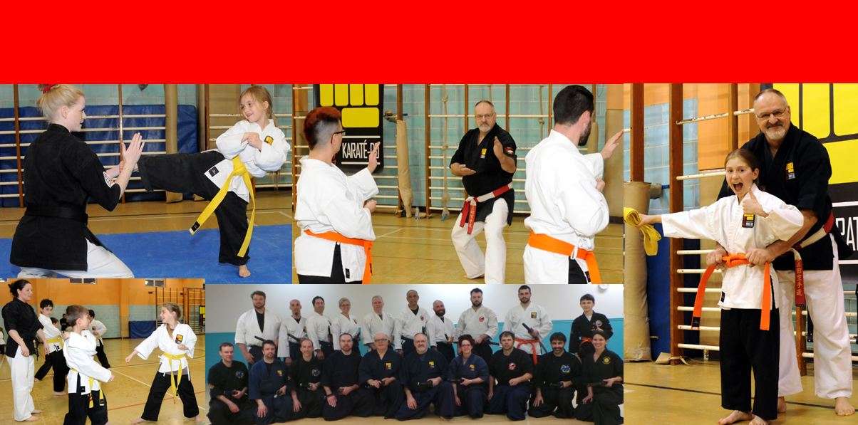 SaintRaymond Fédération Yoseikan KaratéDo